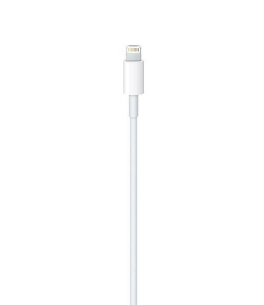 Кабель Apple USB-C to Lightning Cable 1m (MQGJ2) high copy, без коробки 010 фото